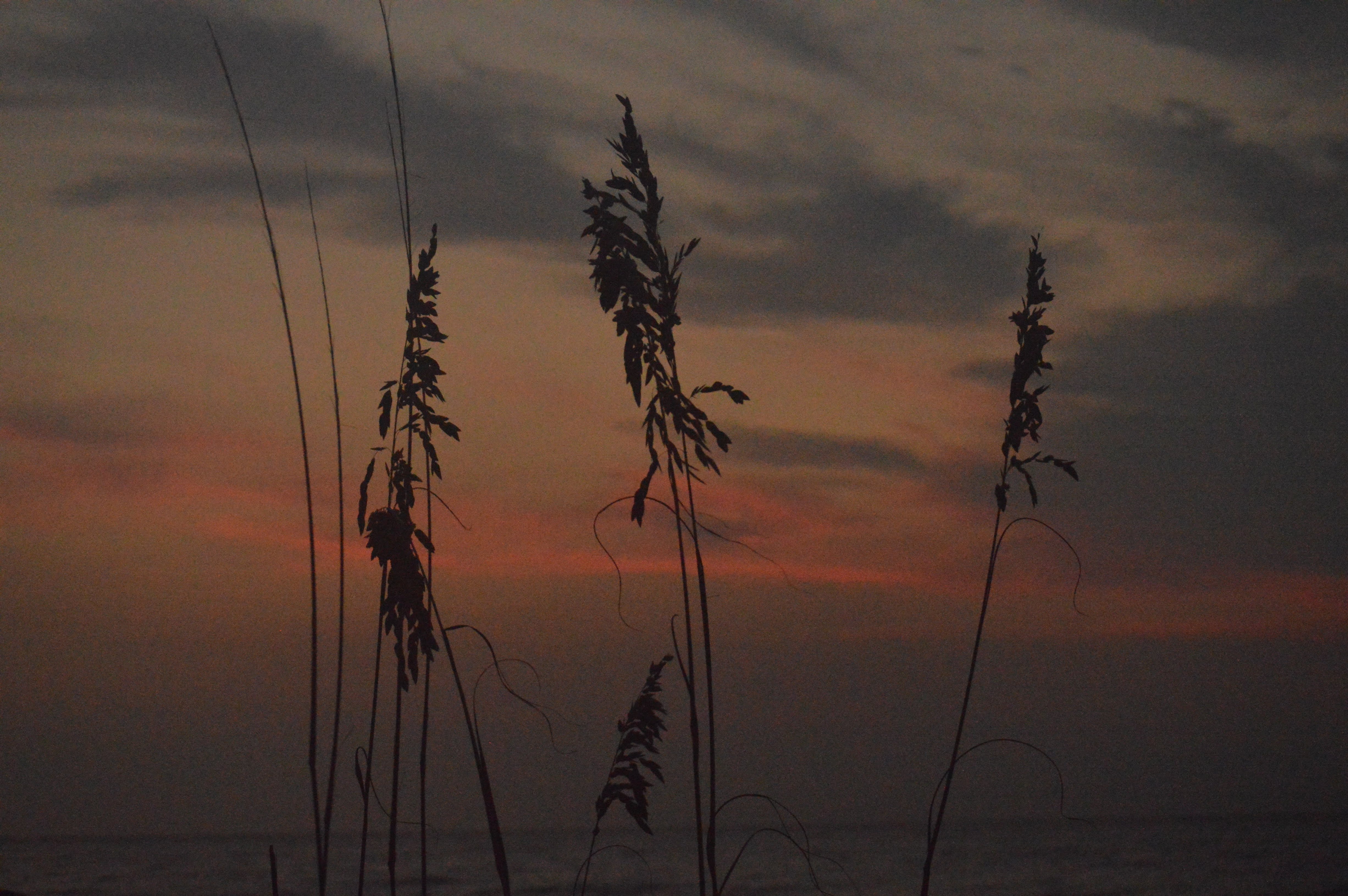 Beach sunset